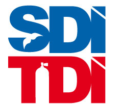 SDITDI Logo